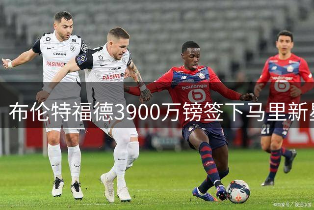 布伦特福德3900万镑签下马里新星桑加雷创队史纪录