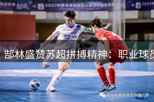 郜林盛赞"苏超"拼搏精神：职业球员应学习其全力以赴态度